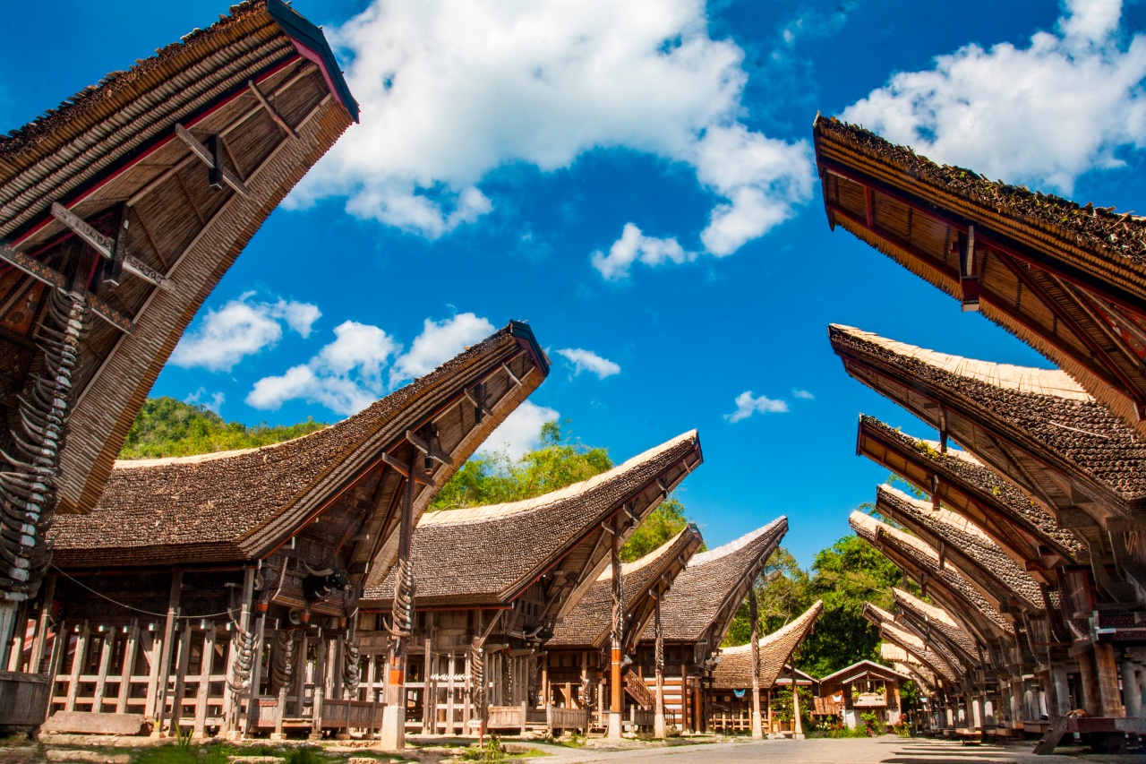 Tentang Explore Toraja